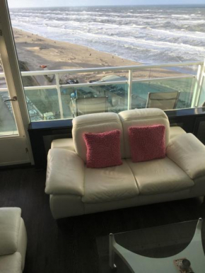  Beach 51  Зандвоорт